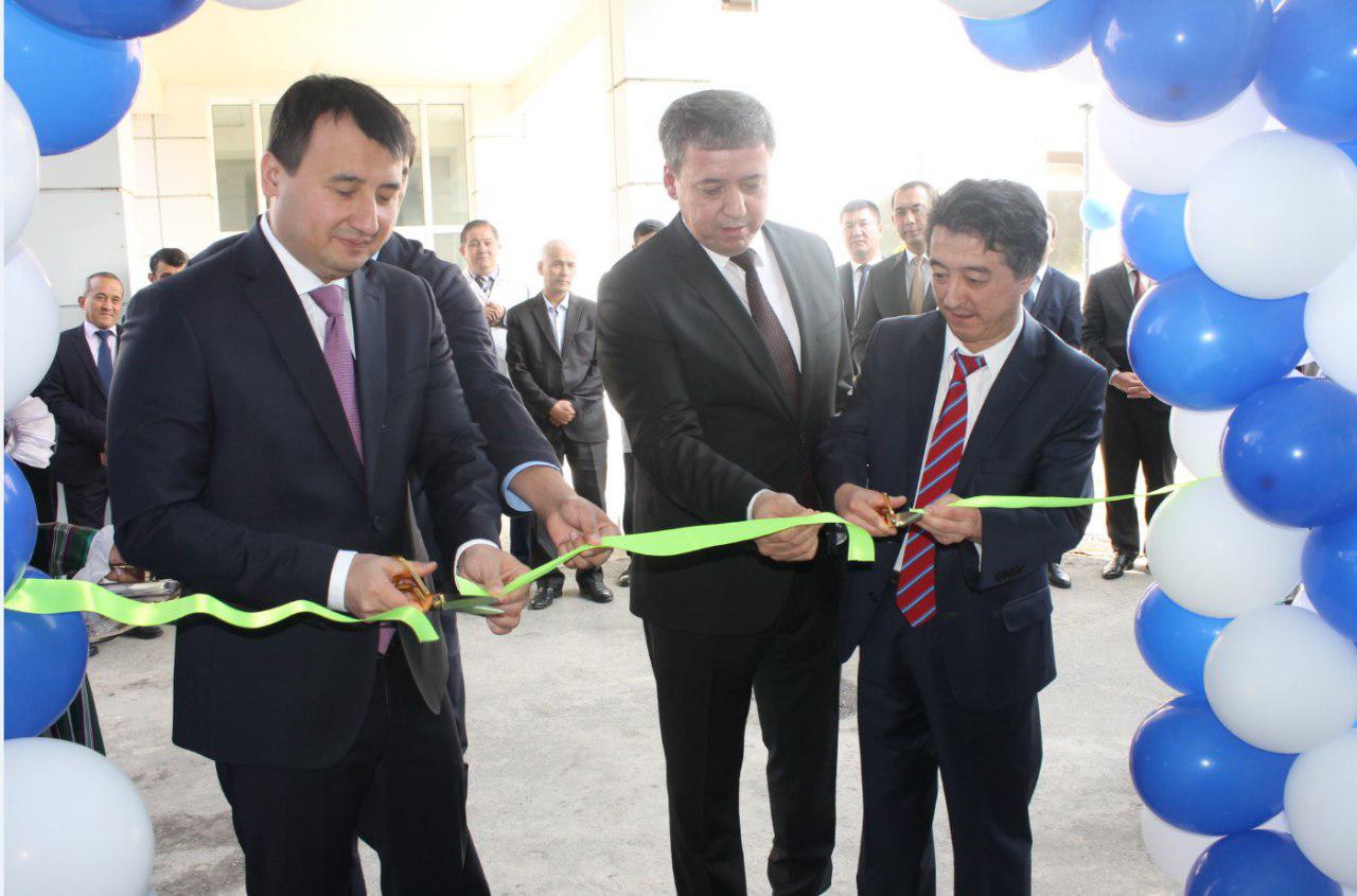В Ташкентском государственном аграрном университете создано малое инновационное предприятие «AgroVitroClone».