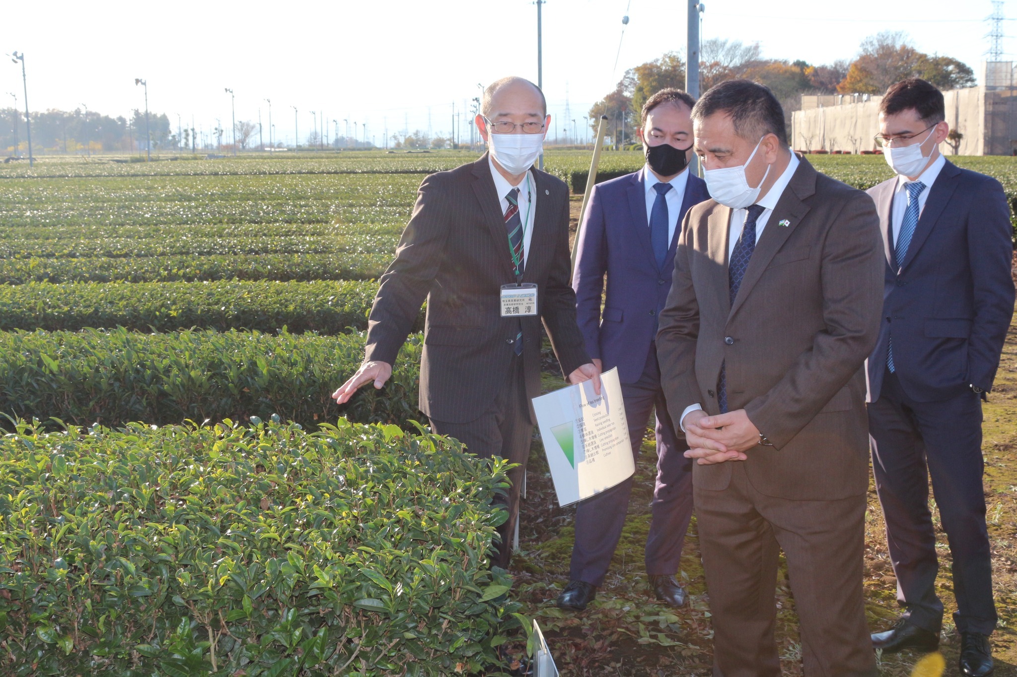 Cooperation with Japan on tea production will be further strengthened