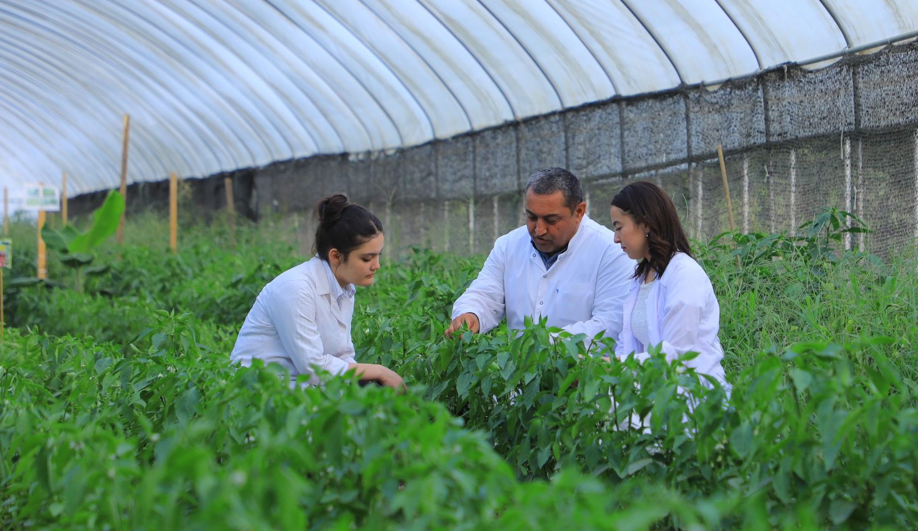 Факультет плодоовощеводства и виноградарства