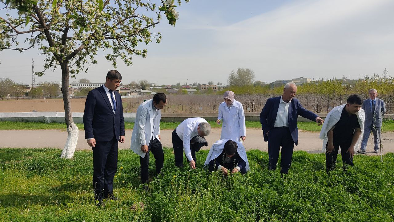 O‘simliklar himoyasi va karantini
