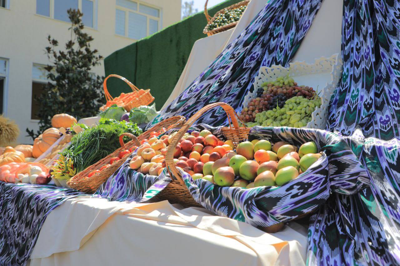 yangi bino11 yangi bino11