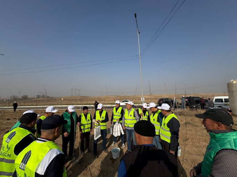 Toshkent davlat agrar universiteti vakillari “Yashil makon” loyihasi doirasida daraxt ko‘chatlari ekish tadbirida ishtirok etdi