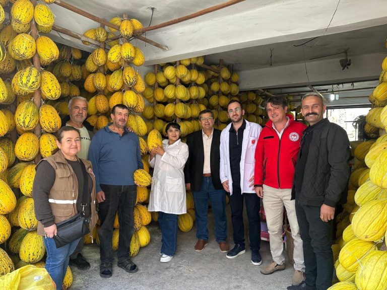 Agrar olimasi qovundan ekologik marmelad yaratdi