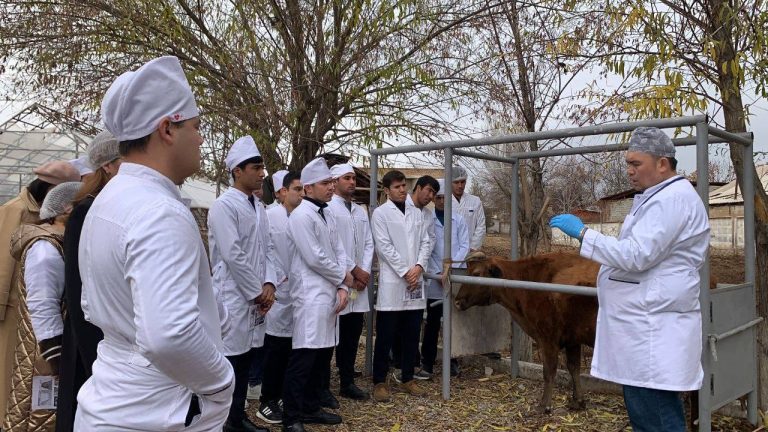 Toshkent davlat agrar universiteti òquv-tajriba xòjaligida veterinariya yo‘nalishi talabalari uchun amaliy mashg‘ulot tashkil etildi