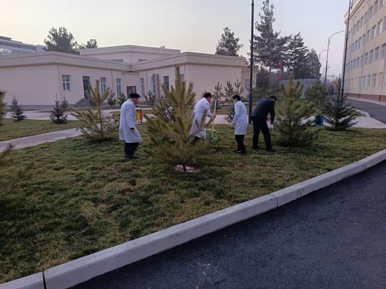 Toshkent davlat agrar universiteti hududidagi manzarali daraxtlar qishki tinim davrida oʻgʻitlandi