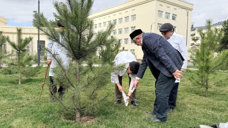 Toshkent davlat agrar universitetida yashil makonlarni asrash va ekologik muvozanatni mustahkamlashga qaratilgan navbatdagi agrotexnik tadbirlar o‘tkazildi