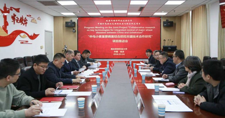 Toshkent davlat agrar universiteti hamda NWAFU o‘rtasidagi hamkorlik doirasida ilmiy va innovatsion loyihalar izchil rivojlanib bormoqda