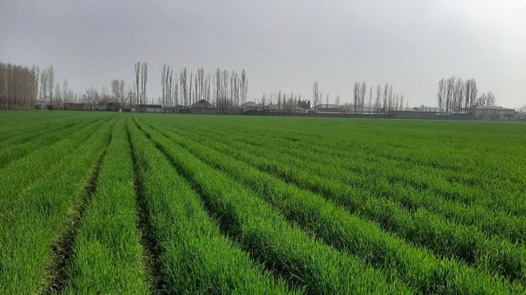 TDAU: ilm-fan va ishlab chiqarish integratsiyasi amalda