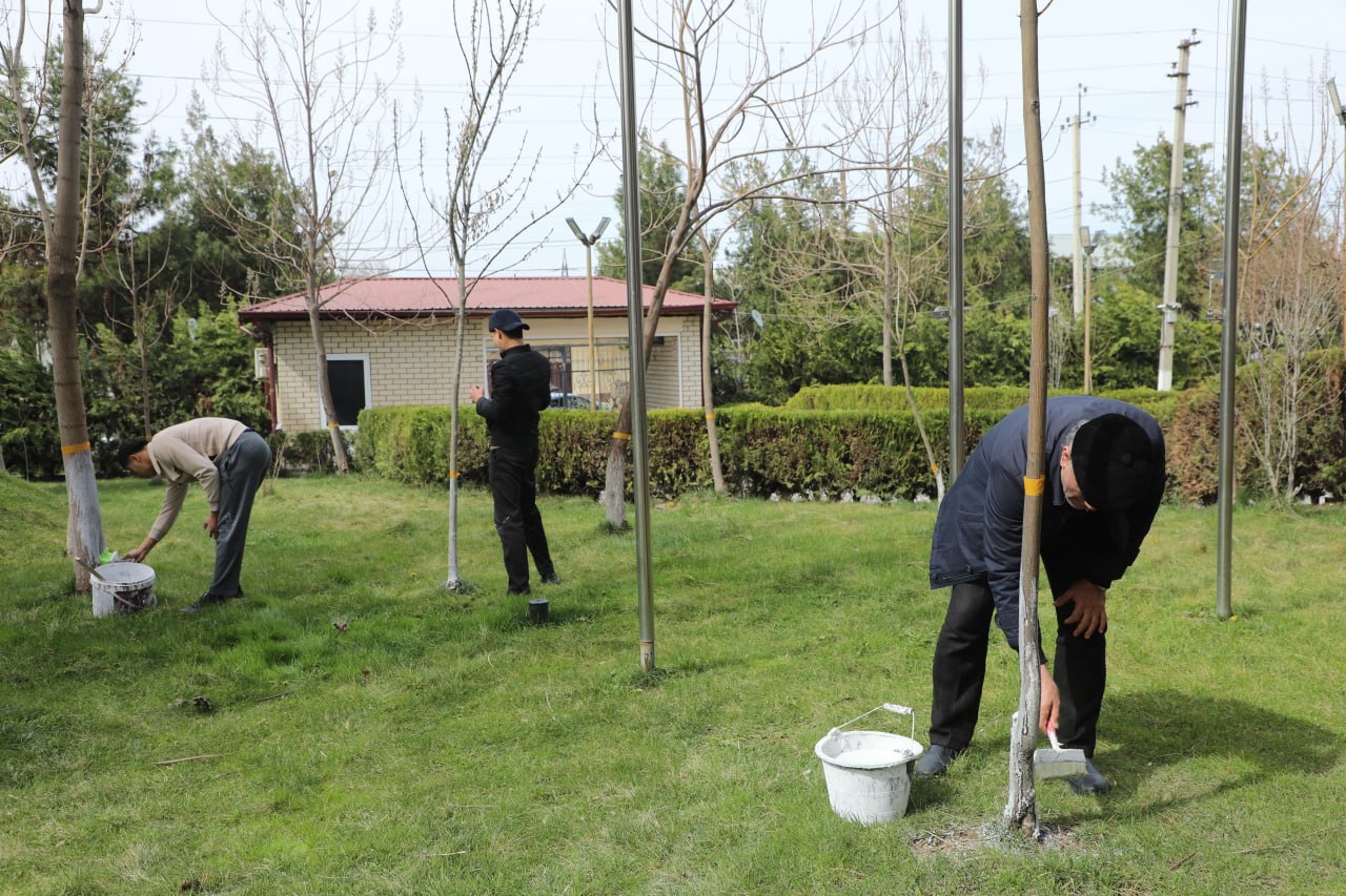 photo_2026-03-14_13-43-50