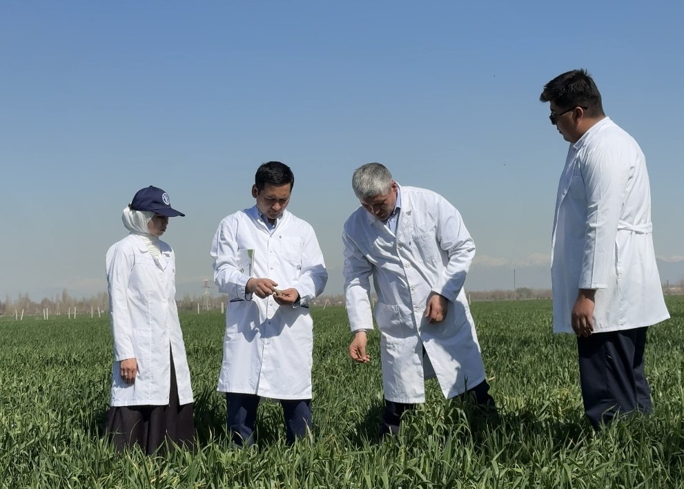 photo_2026-03-25_18-44-56