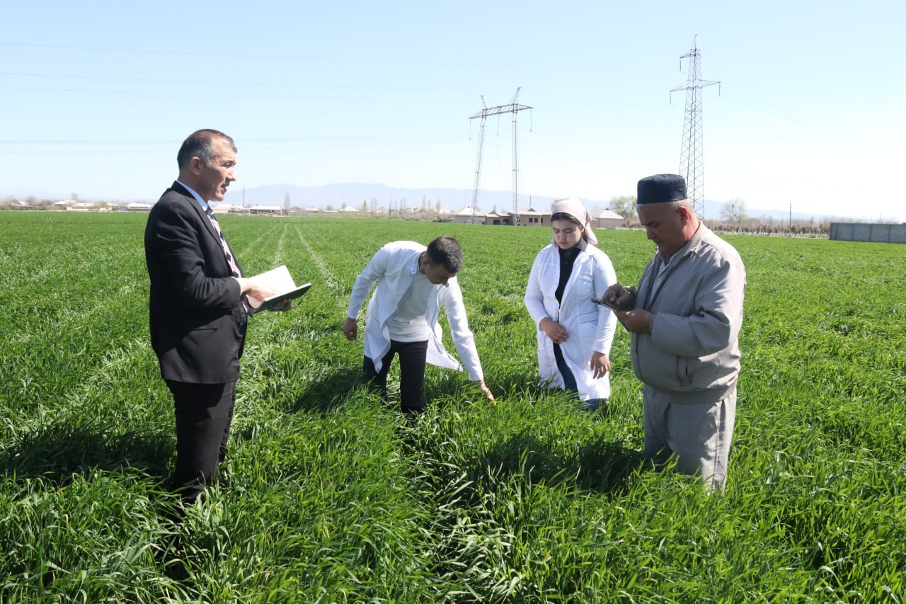 photo_2026-03-25_19-49-56