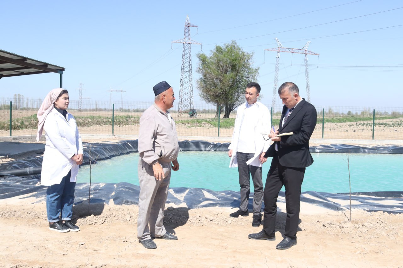 photo_2026-03-25_19-50-23