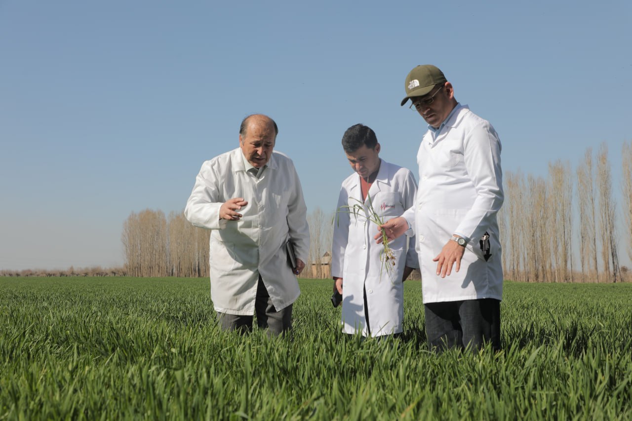 photo_2026-03-25_20-11-37