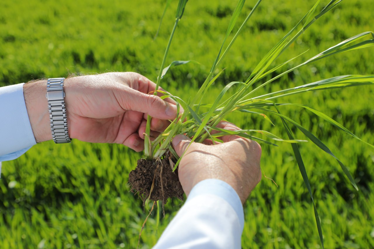 photo_2026-03-25_20-11-47 photo_2026-03-25_20-11-47