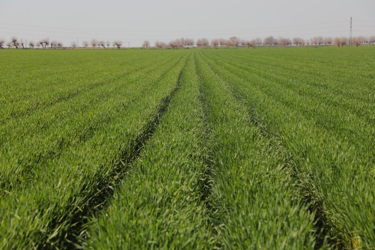 photo_2026-03-25_20-11-54 photo_2026-03-25_20-11-54