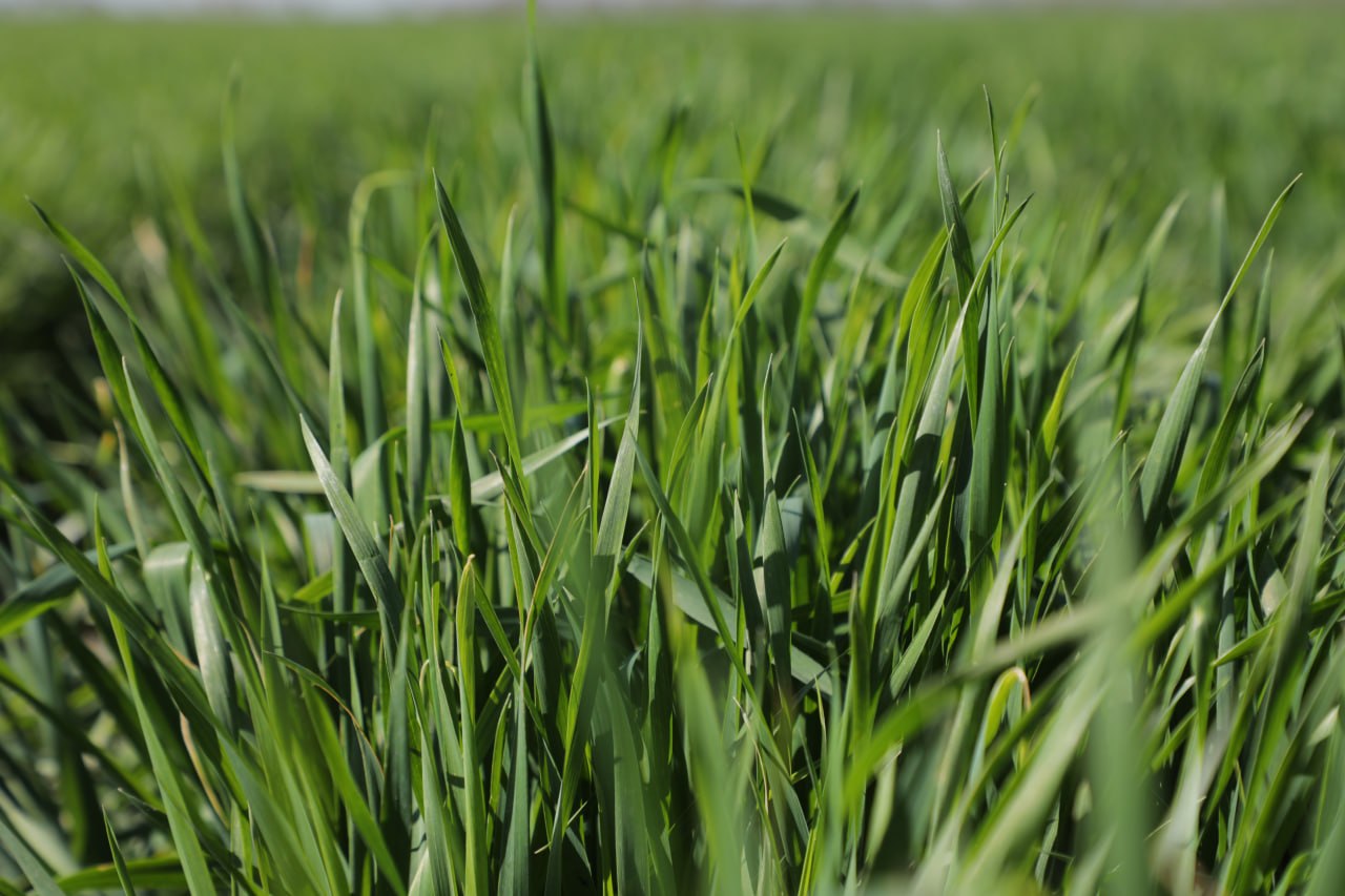 photo_2026-03-25_20-11-57 photo_2026-03-25_20-11-57