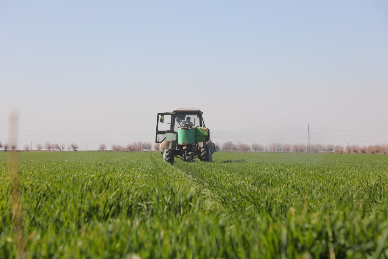 photo_2026-03-25_20-12-07