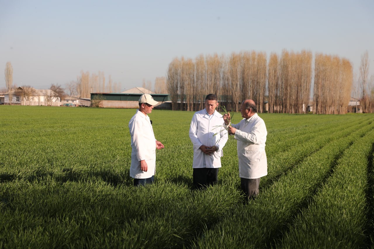 photo_2026-03-25_20-12-45