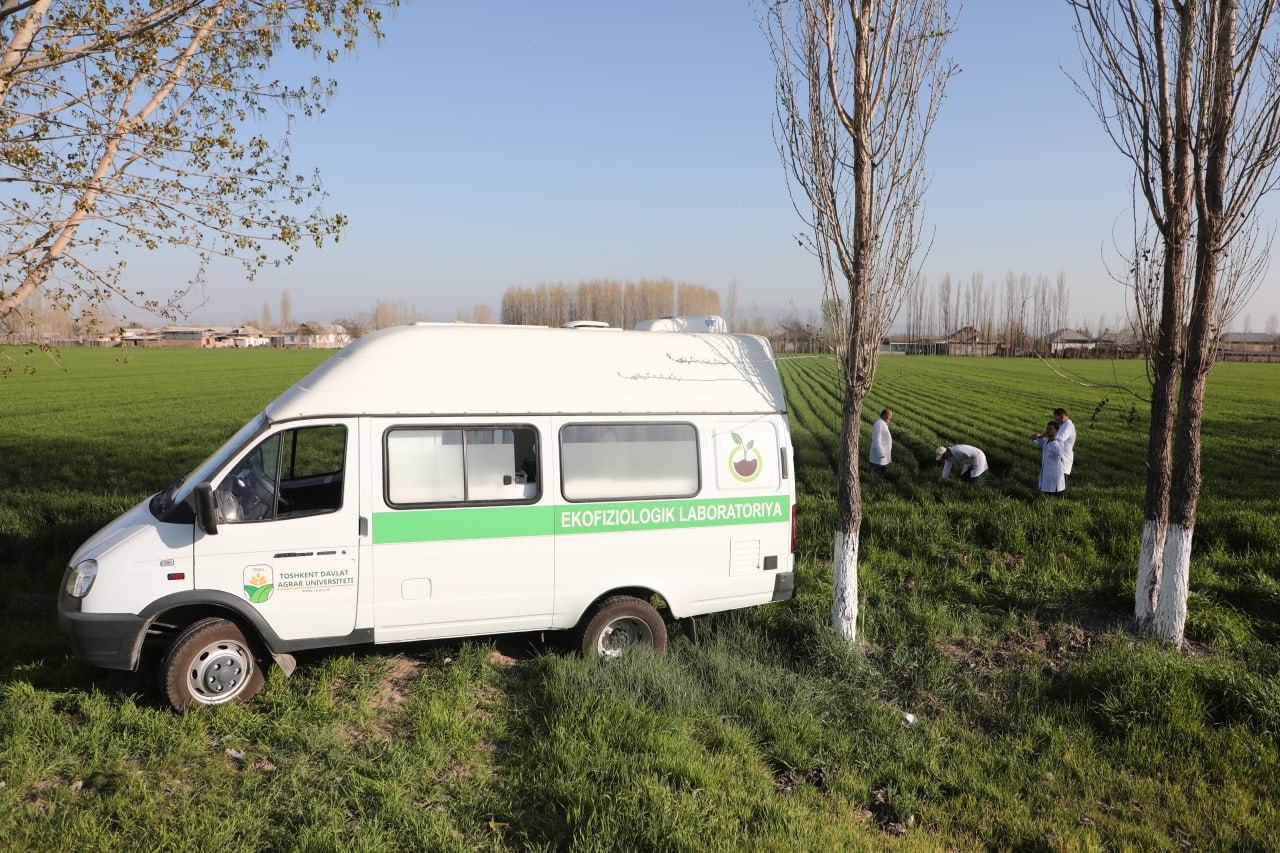 photo_2026-03-25_20-13-35