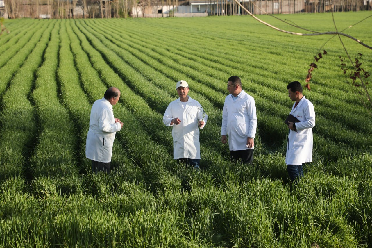 photo_2026-03-25_20-14-06 photo_2026-03-25_20-14-06