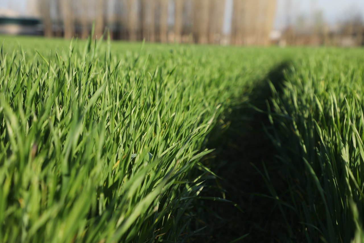 photo_2026-03-25_20-14-22