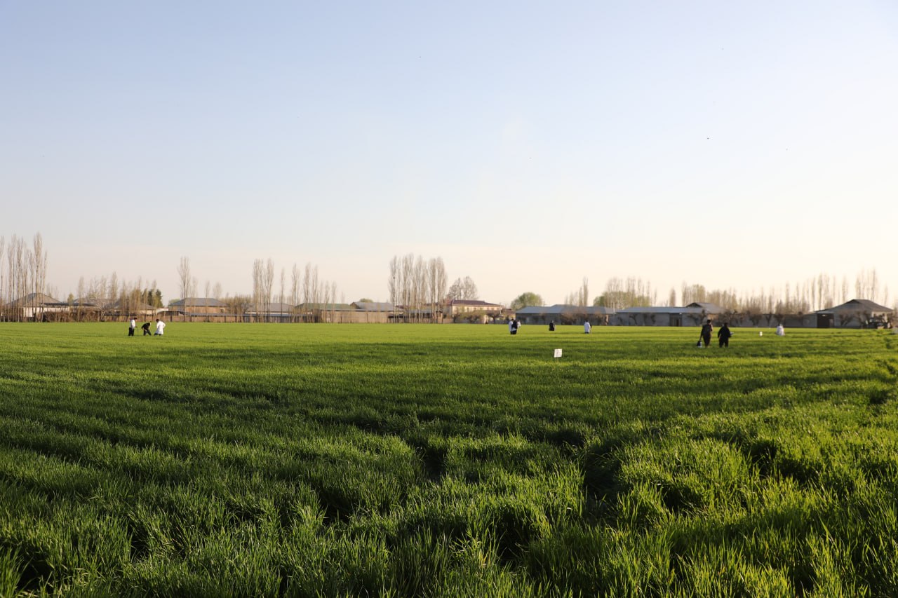 photo_2026-03-25_20-14-41 photo_2026-03-25_20-14-41