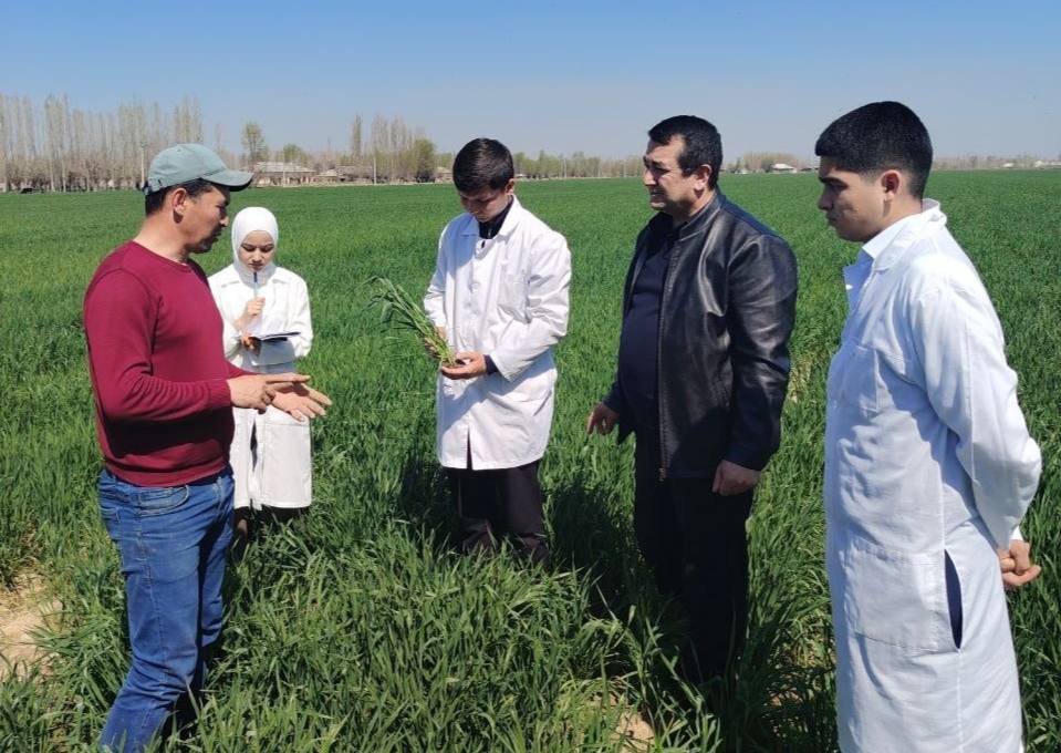 photo_2026-03-25_20-52-13