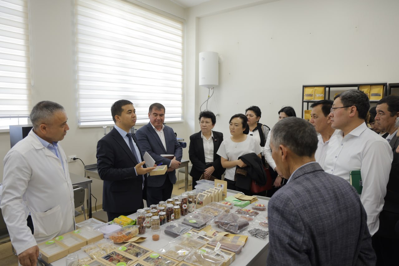 photo_2026-03-28_17-09-18