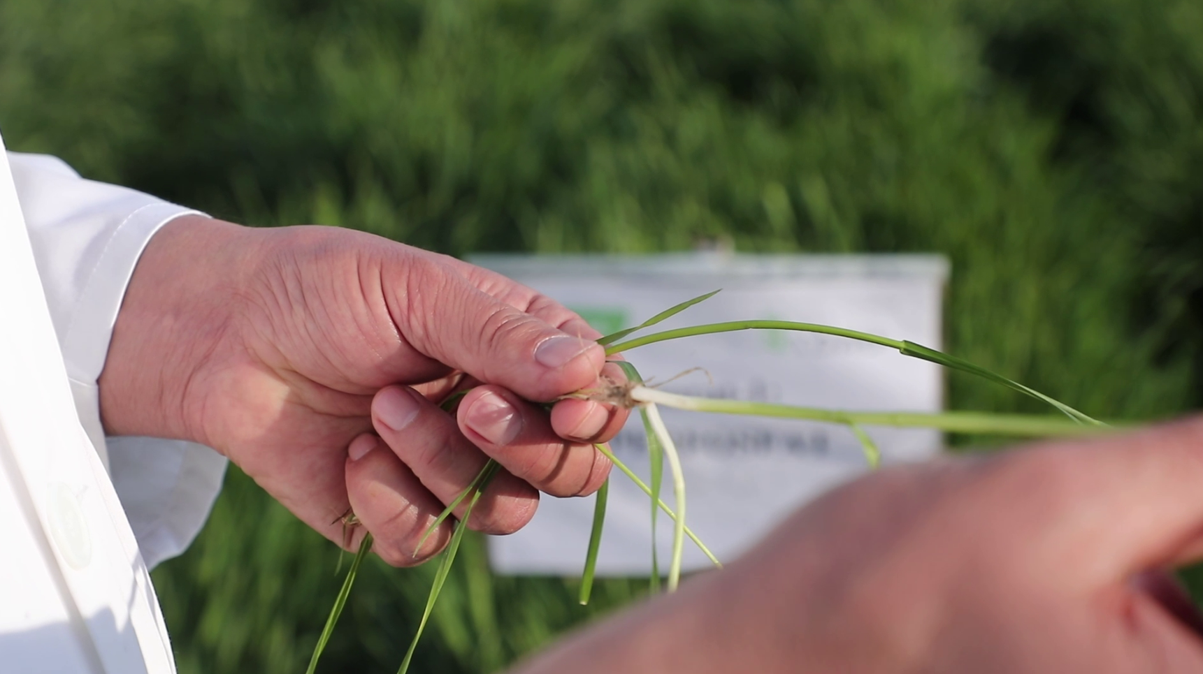 Снимок экрана 2026-03-26 113746