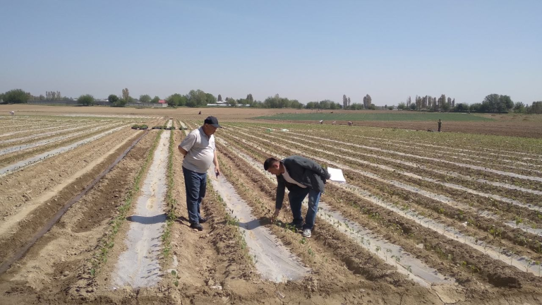 TDAU olimlari Yangiyo‘l tumanida dala tadqiqotlarini olib bormoqda