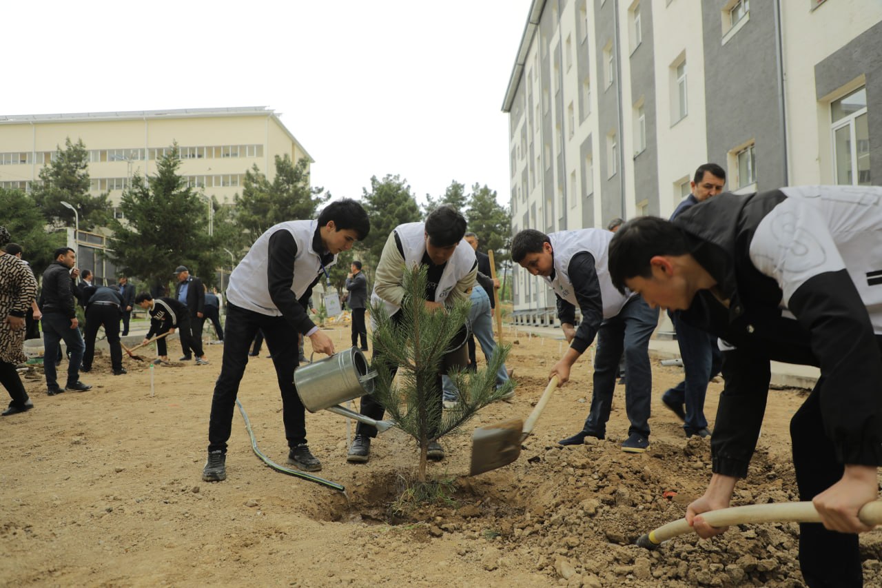 photo_2026-04-04_15-01-22 (2)