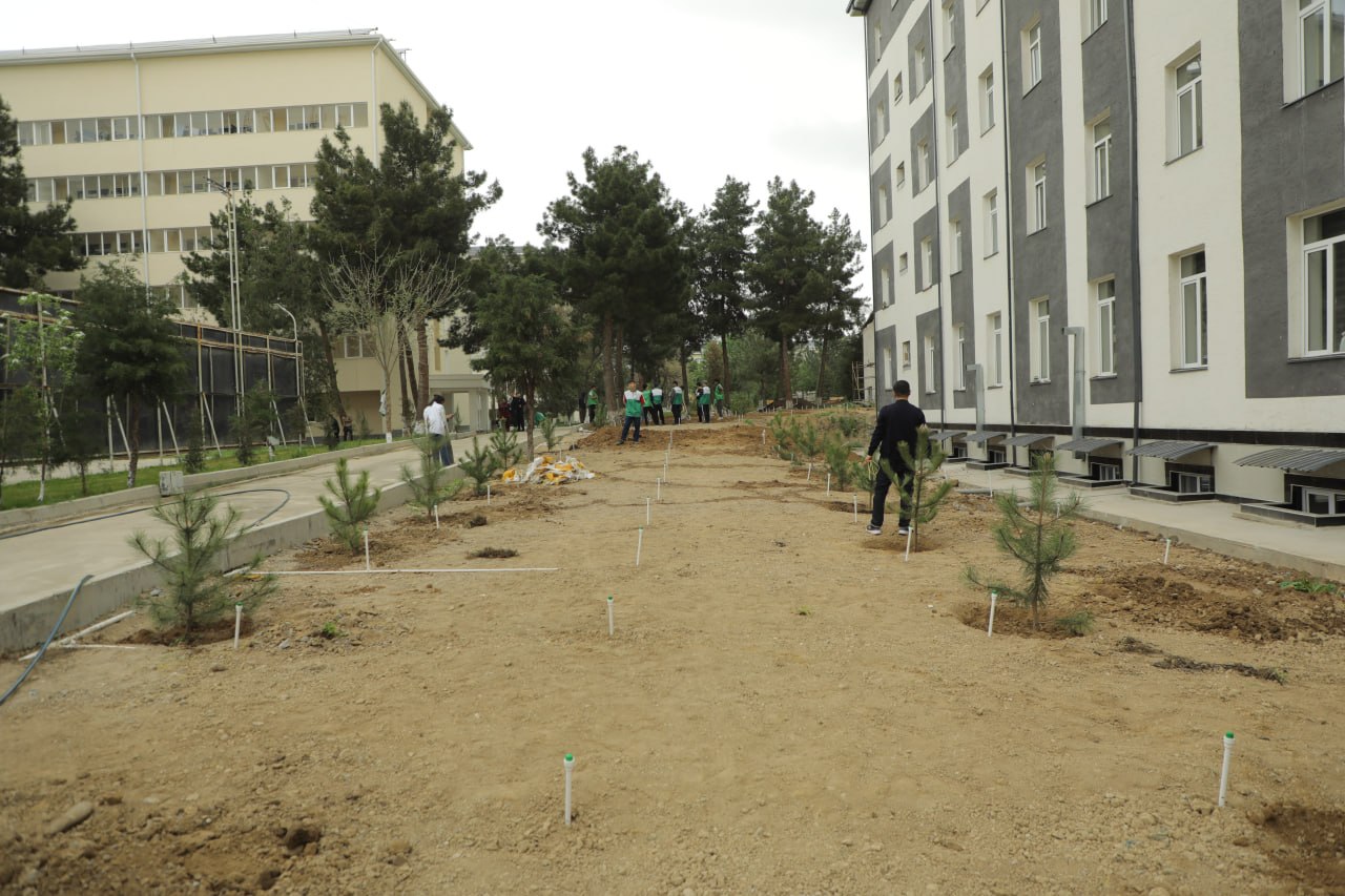 photo_2026-04-04_15-01-22