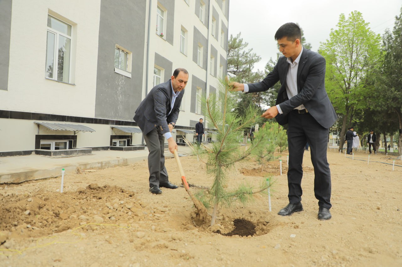 photo_2026-04-04_15-03-39 (2) photo_2026-04-04_15-03-39 (2)