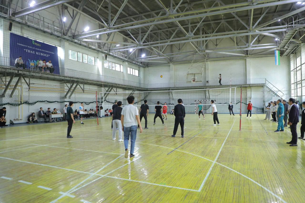 photo_2026-04-09_19-46-13