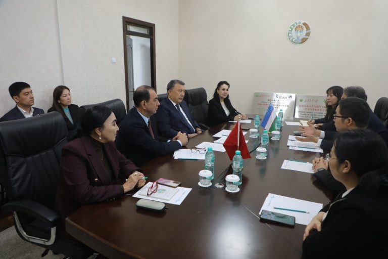 TDAUda Xitoy tili markazi tashkil etiladi